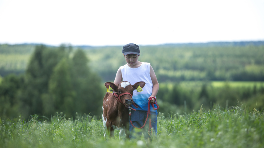 1302_puhtauden_mallimaa_hero.jpg